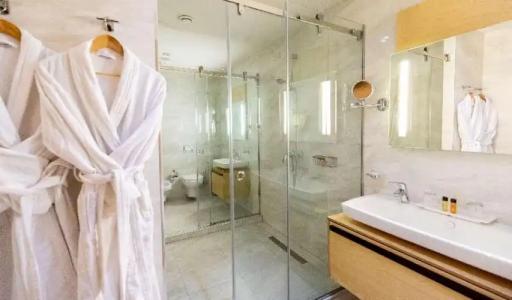 Best Western Premier Ark - 194