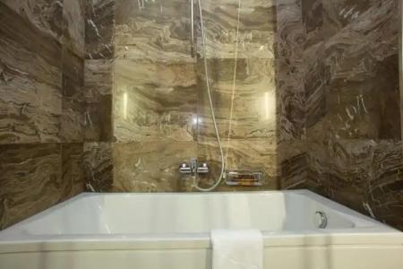 Best Western Premier Ark - 81