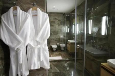 Best Western Premier Ark - 89