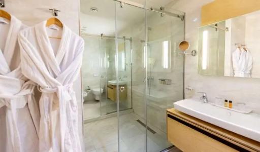 Best Western Premier Ark - 177