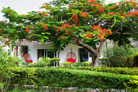 Tanzanite Beach Resort - 38