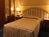 Classic Single room