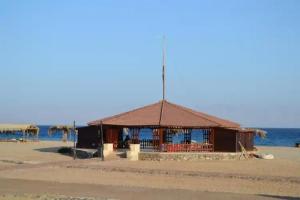 Crazy Horse Camp, Nuweiba