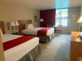 Superior Quadruple room with pool view