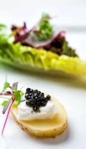 Resort at Longboat Key Club - 12