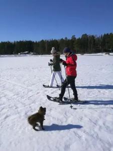 Santalahti Resort Cottages & Villas - 26