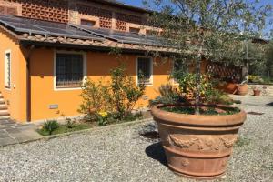Bed & Breakfast «Corte Capitani», Capannori
