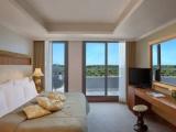 Standard Executive Double room