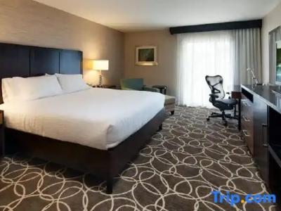 Hilton Garden Inn Los Angeles Marina Del Rey - 54