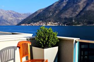 Apartment MiraMare, Kotor