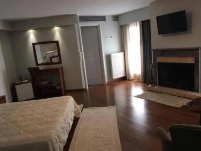 Ellinon Thea Arachova - 67