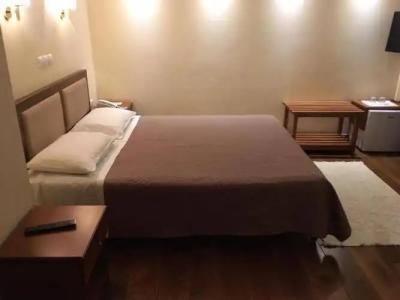 Ellinon Thea Arachova - 4