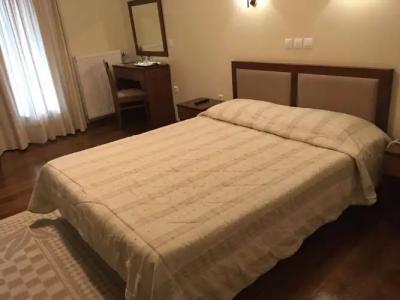 Ellinon Thea Arachova - 43