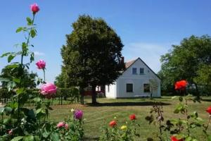 Edit Vendégház Guest house, Celldomolk