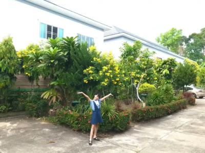 J.Holiday Inn Krabi - 14