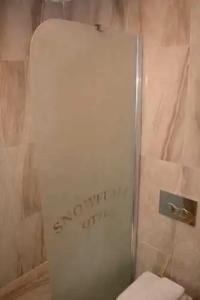 Snowflake Dag & SPA - 21