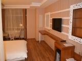 Standard room with mountain view