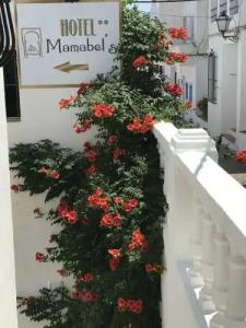 Mamabels