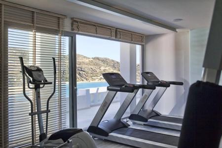 Ios Palace & Spa - 16