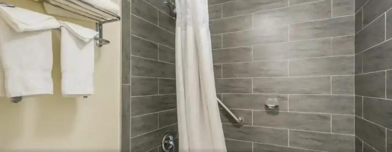 Clarion Inn & Suites Central Clearwater Beach - 42