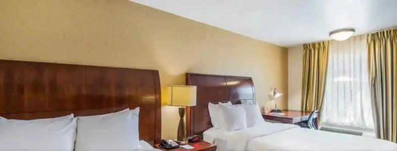 Clarion Inn & Suites Central Clearwater Beach - 36