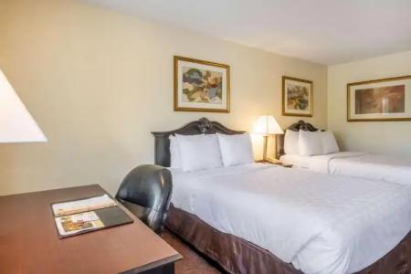 Clarion Inn & Suites Central Clearwater Beach - 11