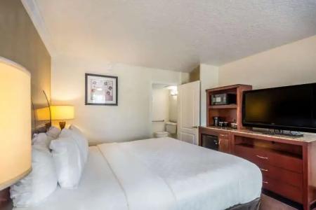 Clarion Inn & Suites Central Clearwater Beach - 46