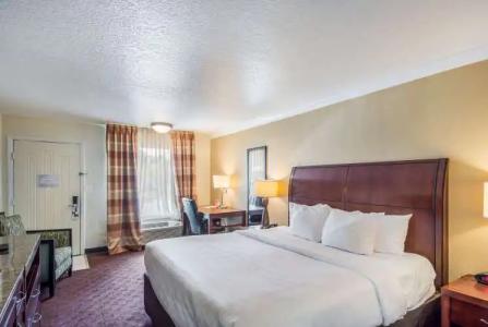 Clarion Inn & Suites Central Clearwater Beach - 43