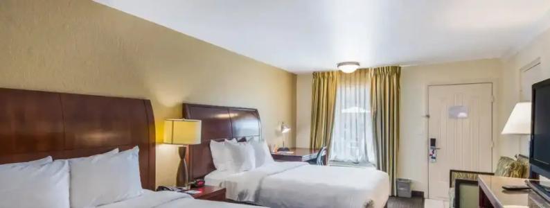 Clarion Inn & Suites Central Clearwater Beach - 39