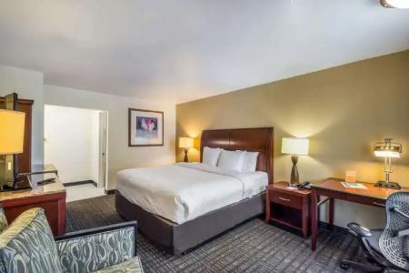 Clarion Inn & Suites Central Clearwater Beach - 47