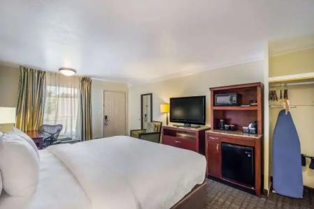 Clarion Inn & Suites Central Clearwater Beach - 48