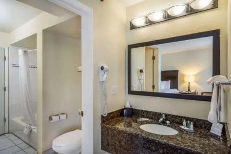 Clarion Inn & Suites Central Clearwater Beach - 74