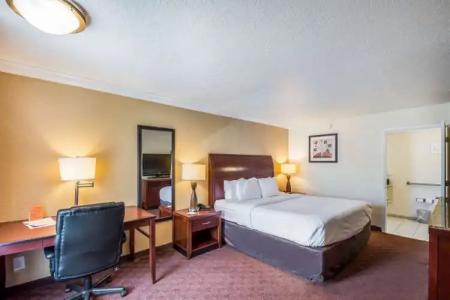Clarion Inn & Suites Central Clearwater Beach - 44