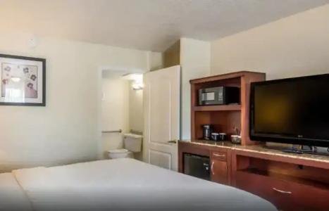 Clarion Inn & Suites Central Clearwater Beach - 52