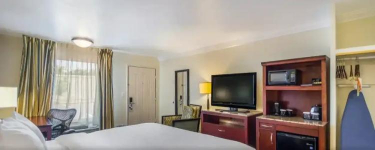 Clarion Inn & Suites Central Clearwater Beach - 55