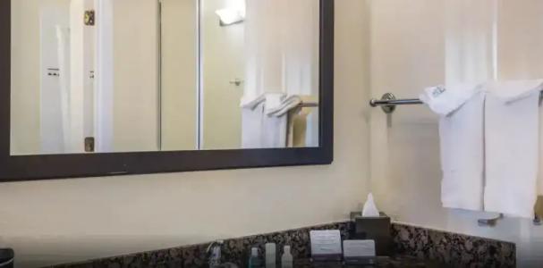 Clarion Inn & Suites Central Clearwater Beach - 65