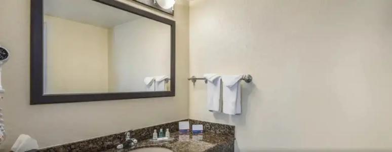 Clarion Inn & Suites Central Clearwater Beach - 41