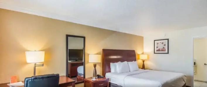 Clarion Inn & Suites Central Clearwater Beach - 57