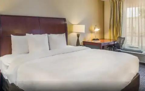 Clarion Inn & Suites Central Clearwater Beach - 54