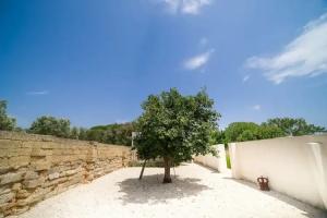 Masseria La Gresca, Vignacastrisi