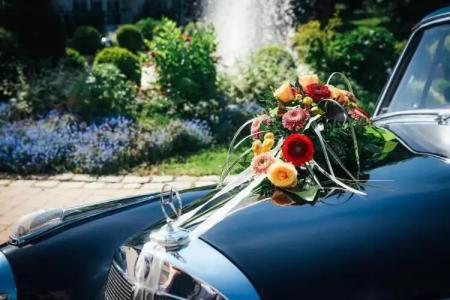 Drahthammer Schlößl - 22