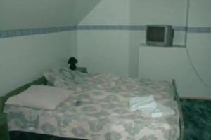 Hostel Caravan, Juri
