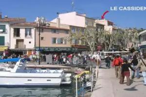 Le Cassiden, Cassis