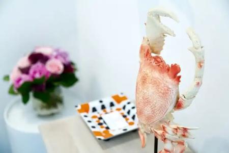 Yelo Belle Epoque powered by Sonder - 100