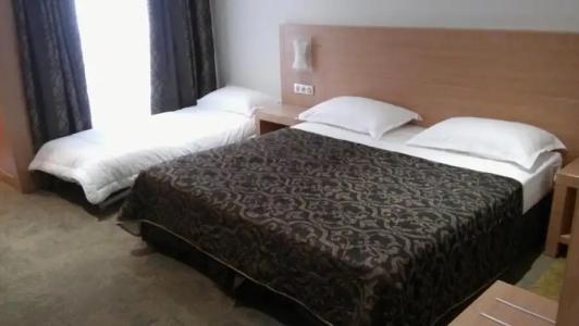 Hôtel Le Rocher - 38