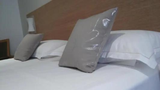 Hôtel Le Rocher - 42