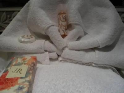 Hôtel Le Rocher - 23