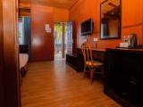 Deluxe Wooden Double room