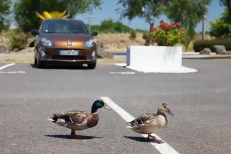 LE BORDEAUX LAC Originals Access - Ex P'tit Dej - 29