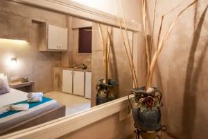 Zante Nest Studios & Apartments, Alikanas